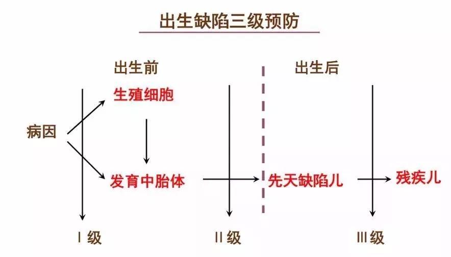 t3.jpg