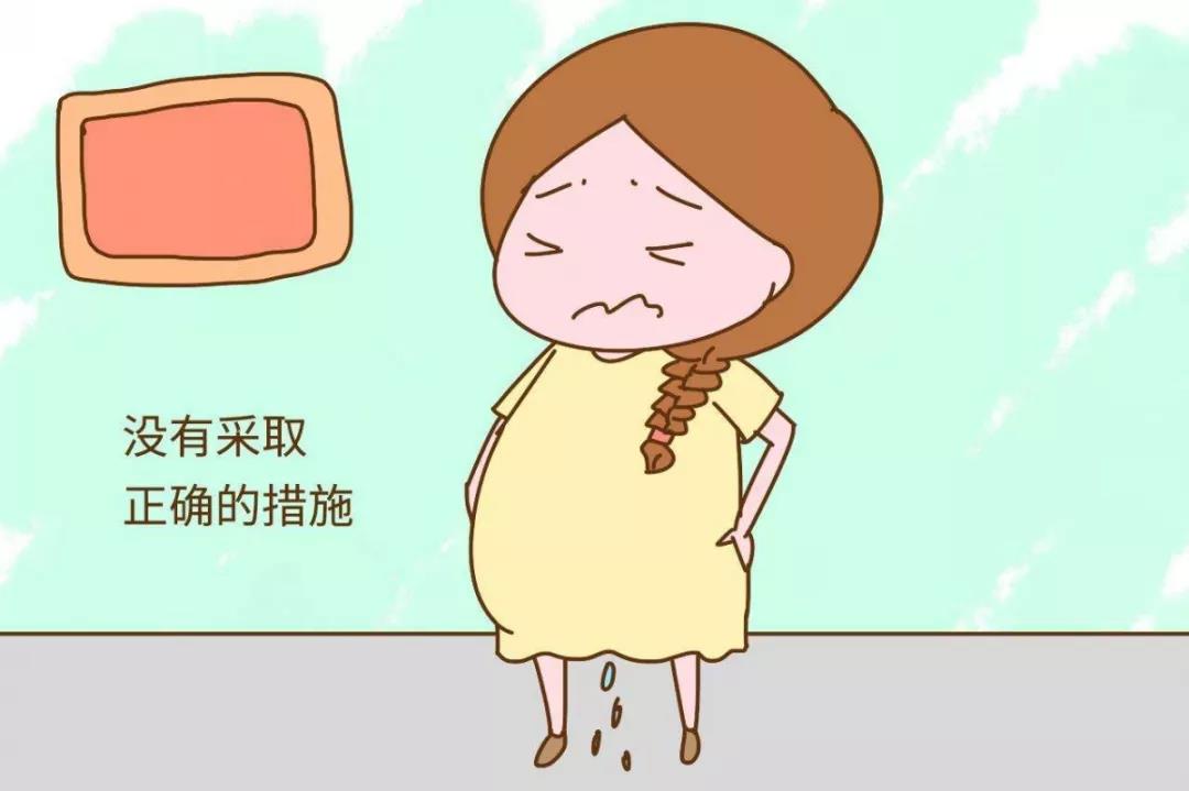 s2.jpg