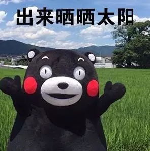 y6.webp.jpg