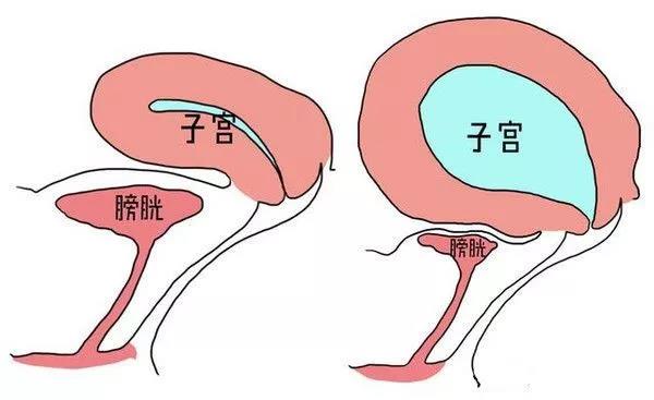 b2.jpg